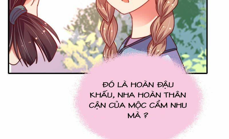 ngày nào thiếu soái cũng ghen chapter 23 - Trang 2