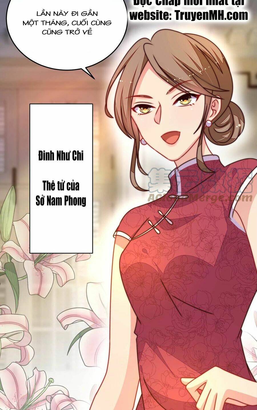 ngày nào thiếu soái cũng ghen chapter 505 - Next chapter 506