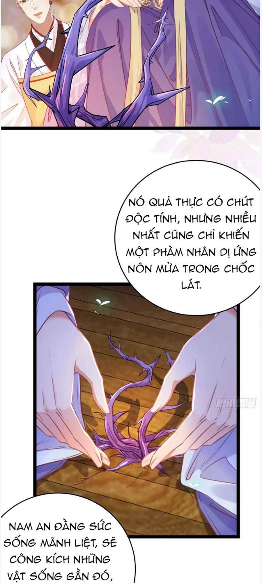 nghịch đồ mỗi ngày đều muốn bắt nạt sư phụ chapter 26 - Trang 2