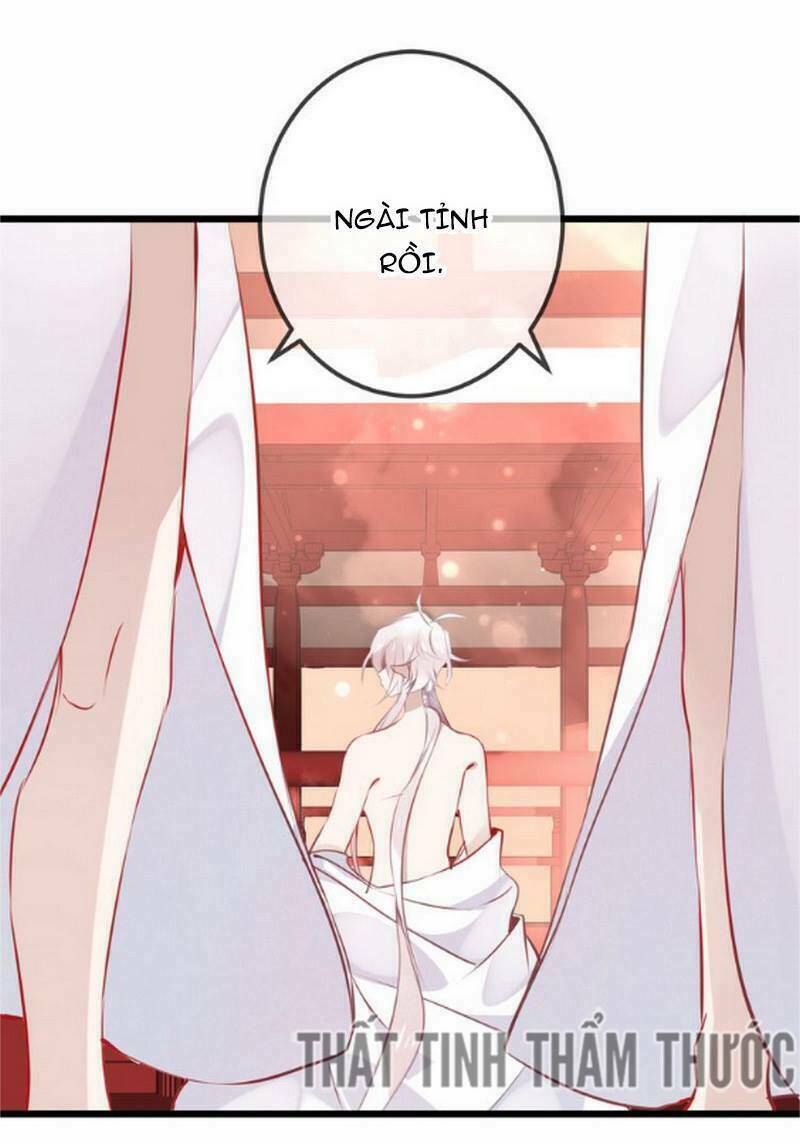 ngô hoàng tại thượng chapter 24 - Trang 2