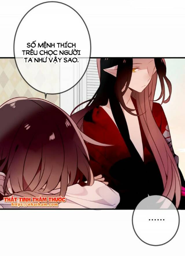 ngô hoàng tại thượng chapter 39 - Next chapter 40