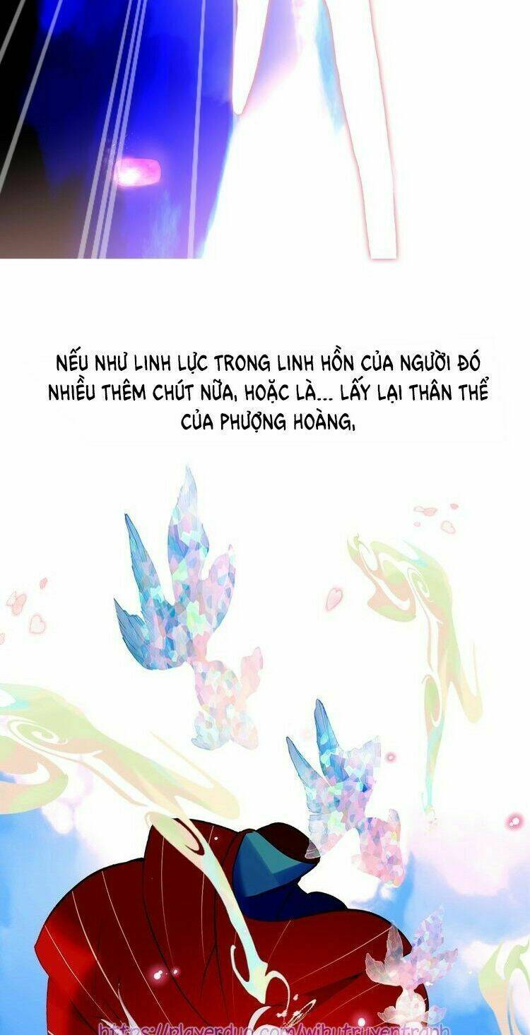 ngô hoàng tại thượng chương 95 - Trang 2