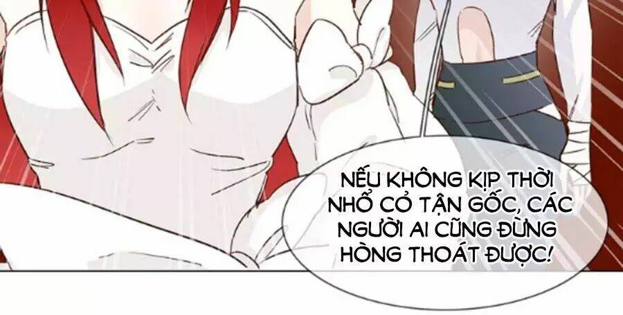 Ngôi Sao Vụn Vỡ Chapter 44 - Trang 2