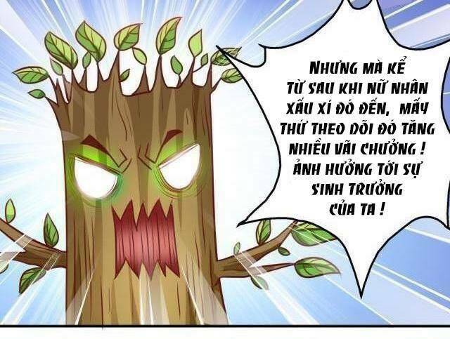 Ngư Thần Đích Nhân Thả Ta Đi Chapter 25 - Next Chapter 26