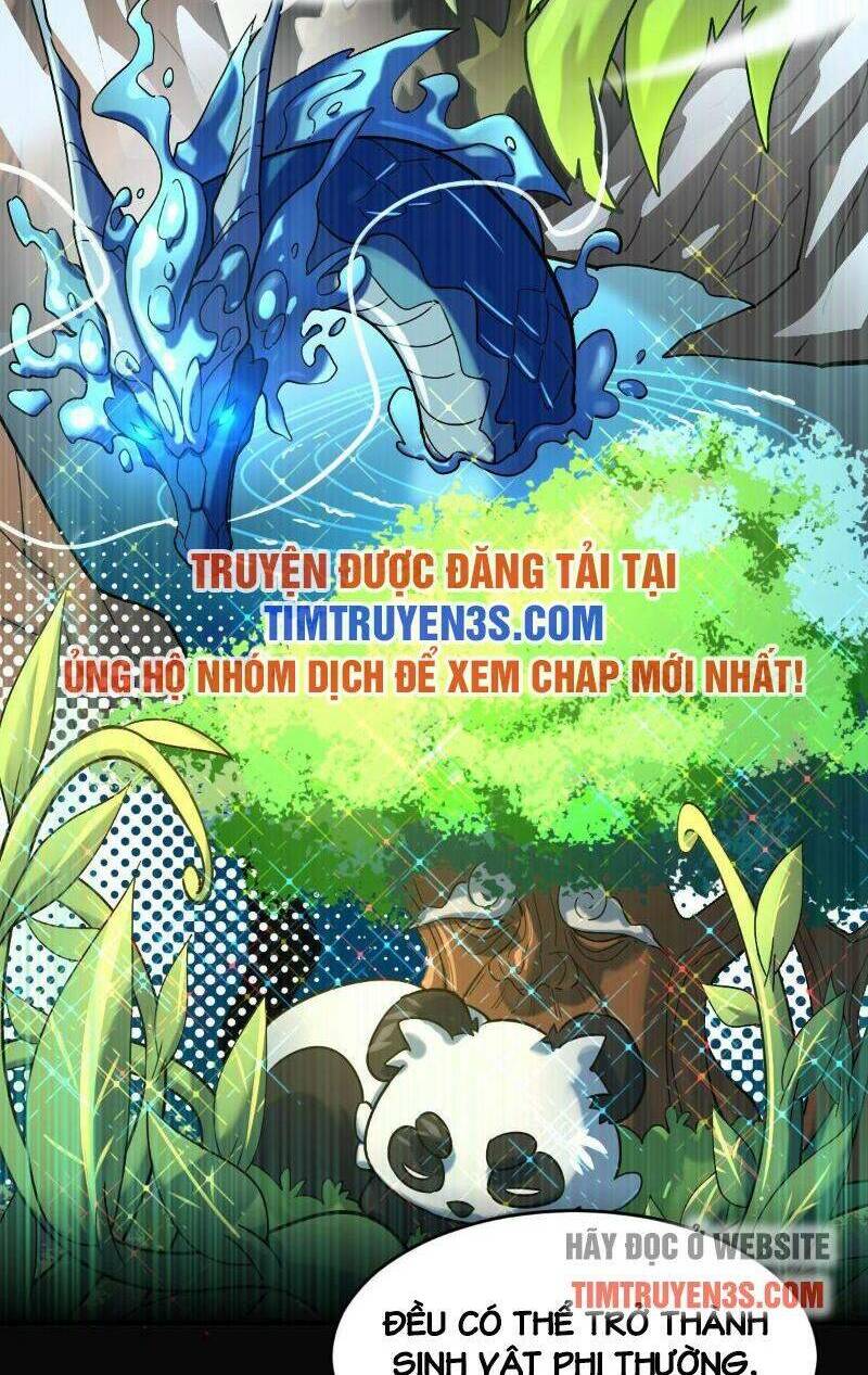 ngự thú phản khoa học chapter 2 - Next chapter 3