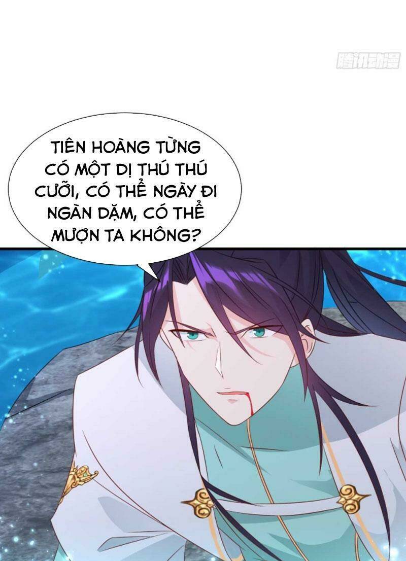 người ở rể bị ép thành phản diện Chapter 207 - Next Chapter 208