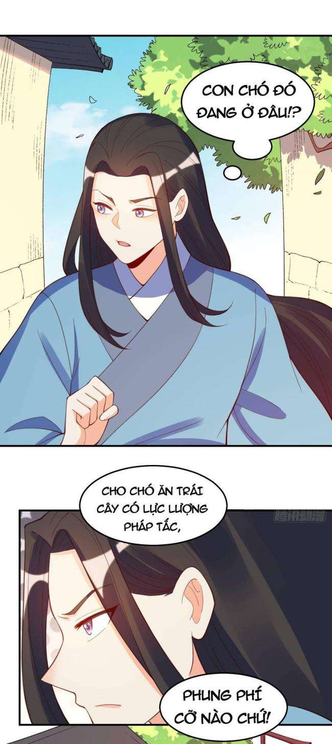 nguyên lai ta là tu tiên đại lão chapter 205 - Next chapter 206