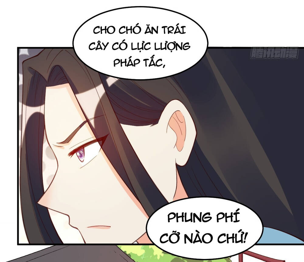 nguyên lai ta là tu tiên đại lão chapter 205 - Next chapter 206