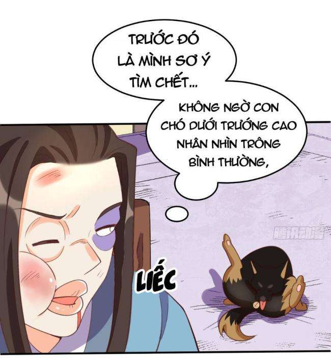 nguyên lai ta là tu tiên đại lão chapter 206 - Next chapter 207