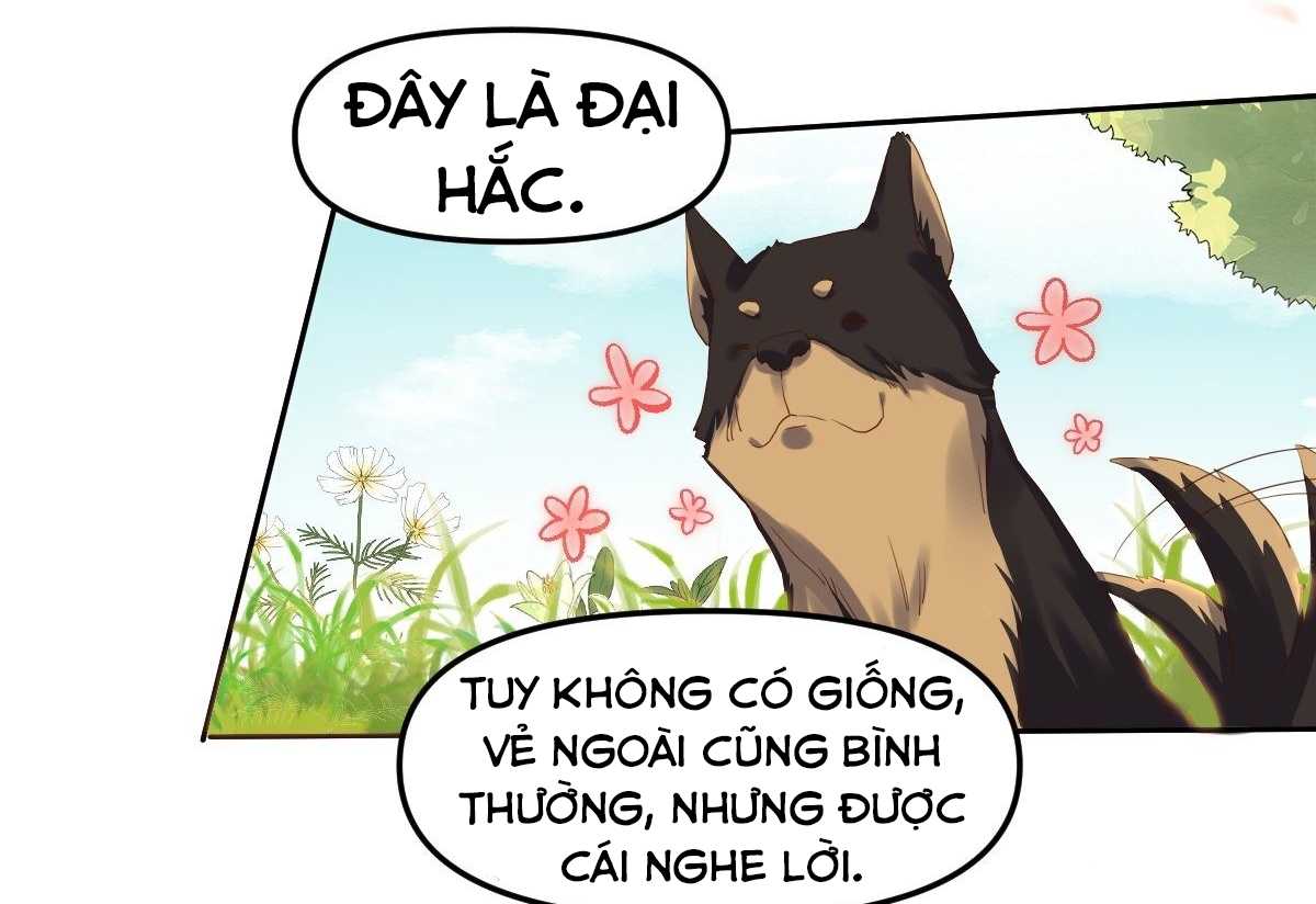 nguyên lai ta là tu tiên đại lão chapter 21 - Trang 2