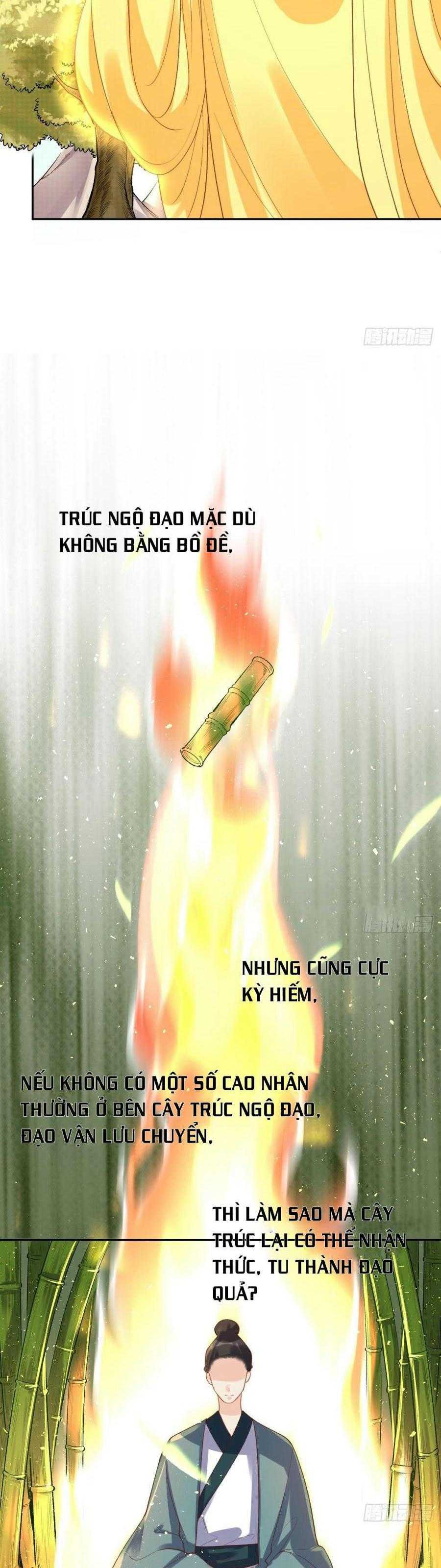 nguyên lai ta là tu tiên đại lão chapter 30 - Trang 2