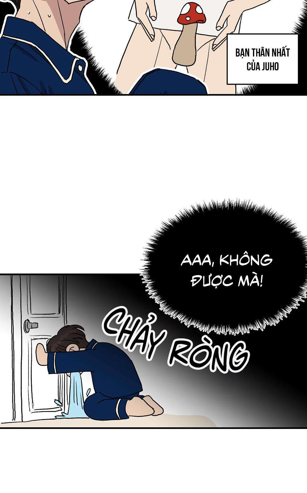 nhà của chúng ta Chapter 2 - Next Chapter 3