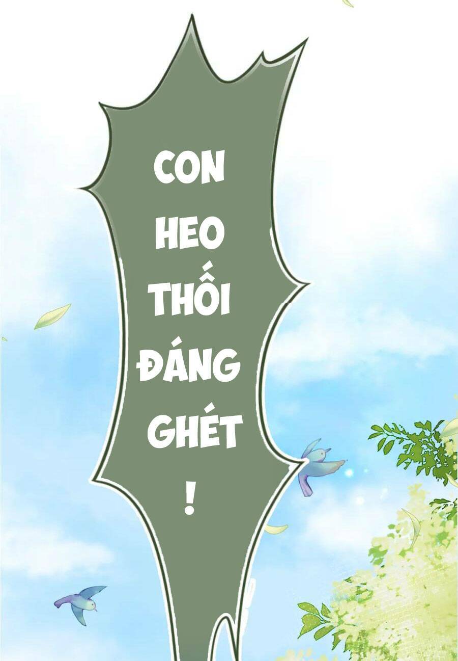 nhặt được bảo bối manh manh Chapter 2 - Trang 2