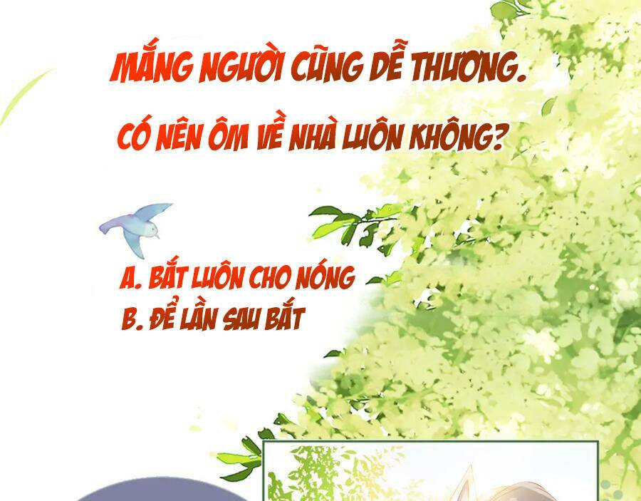 nhặt được bảo bối manh manh Chapter 2 - Trang 2