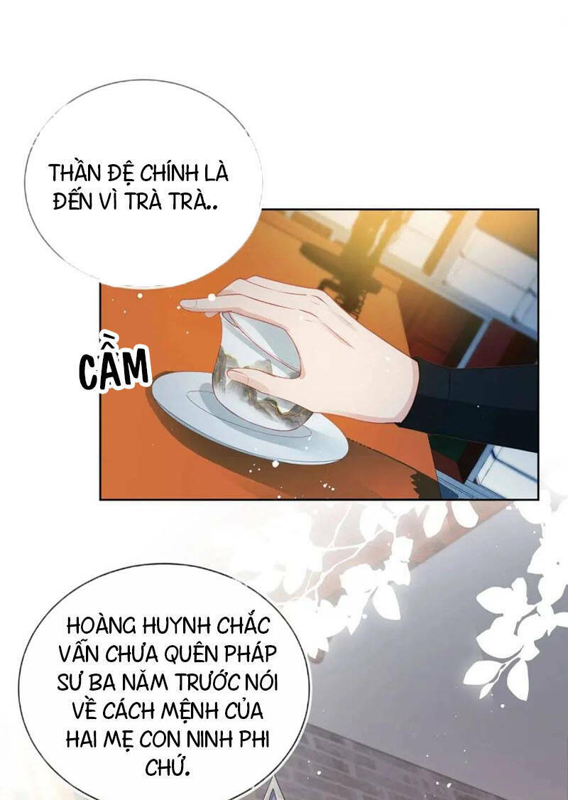 nhặt được bảo bối manh manh Chapter 24 - Trang 2