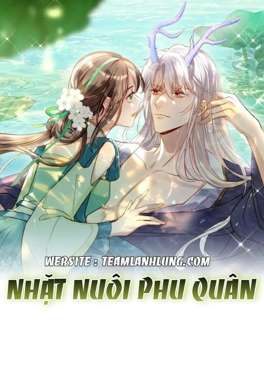 nhặt nuôi phu quân chapter 5 - Trang 2