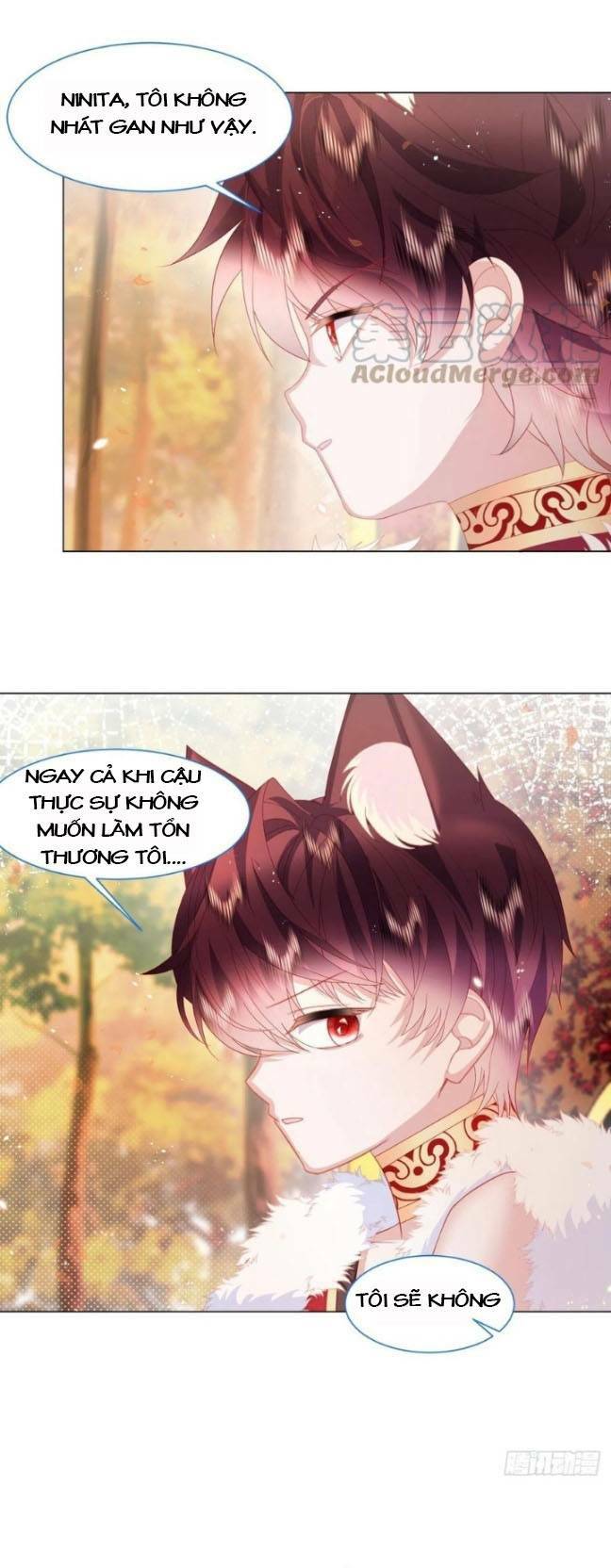 ninita yêu dấu chapter 17 - Trang 2