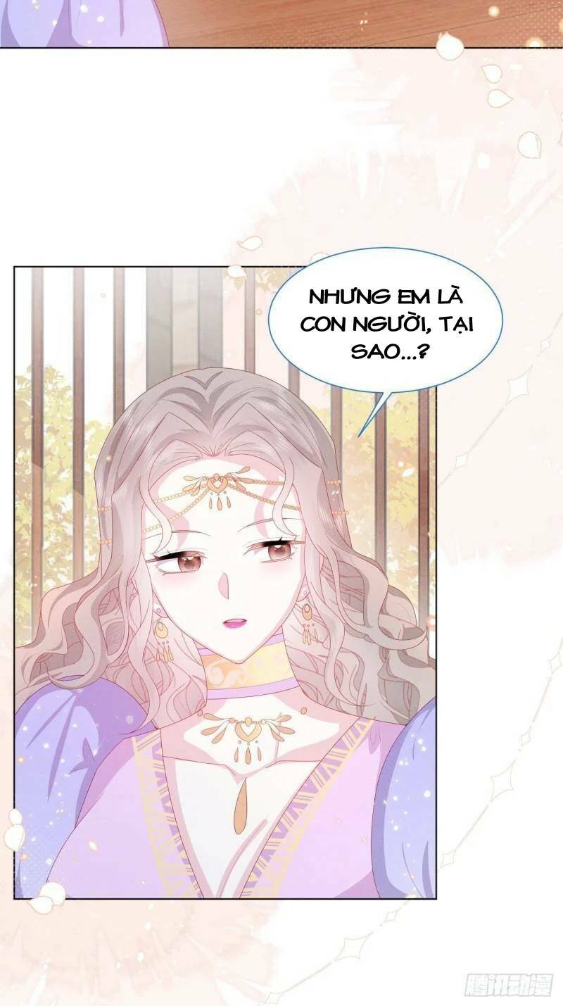 ninita yêu dấu chapter 26 - Trang 2