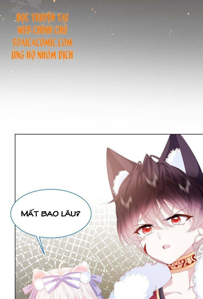 ninita yêu dấu chapter 37 - Trang 2