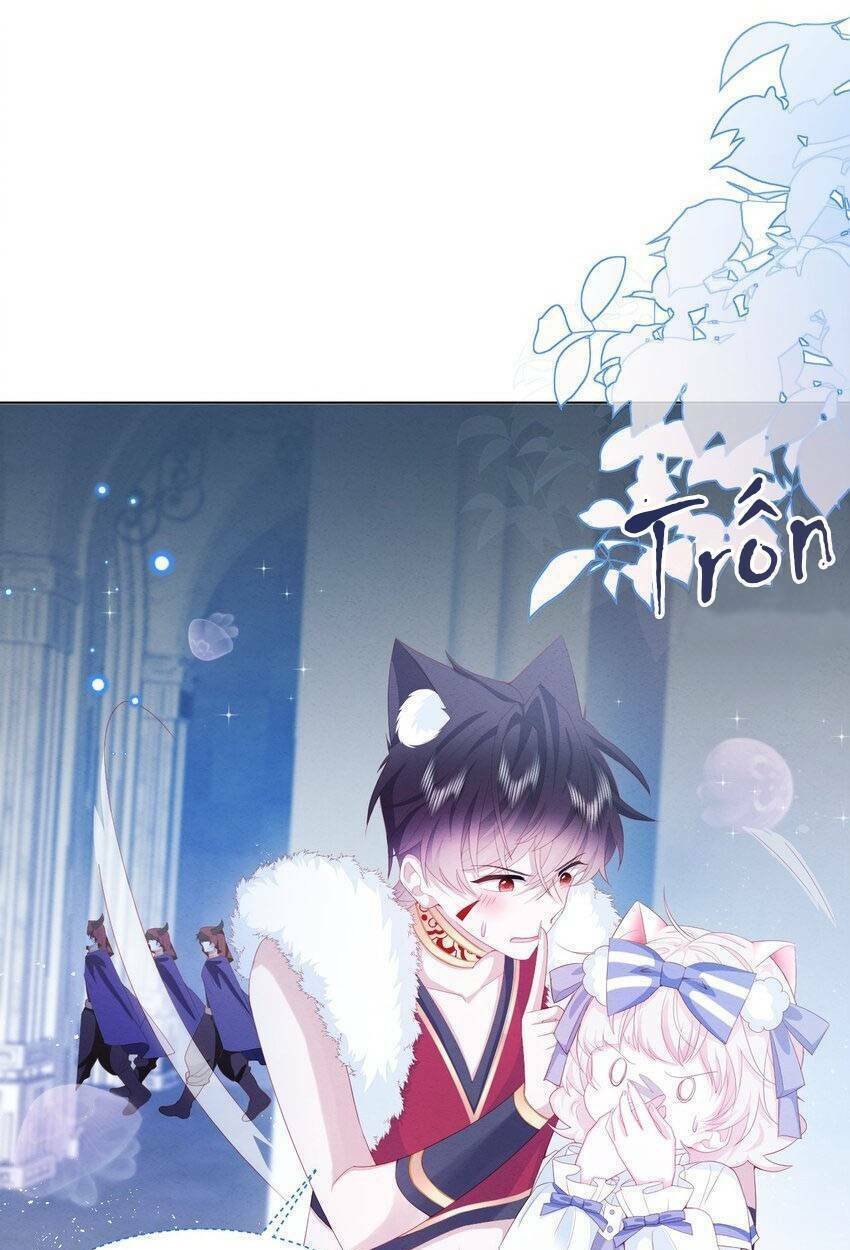 ninita yêu dấu chapter 37 - Trang 2