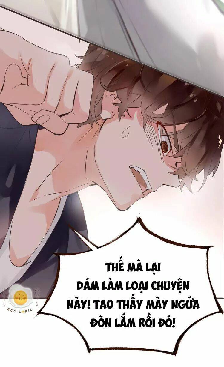 Nở Rộ Trên Bụi Gai Chapter 38 - Trang 2