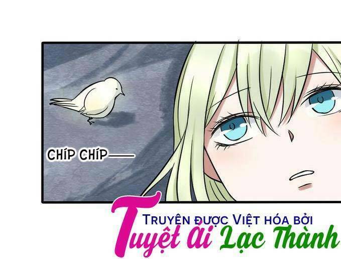 Nụ Hôn Hắc Vũ Chapter 26 - Next Chapter 27