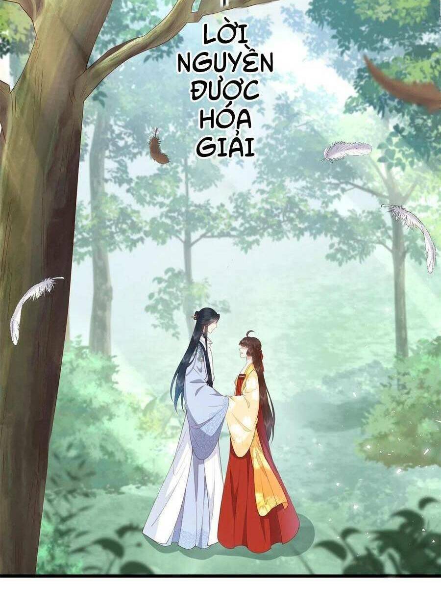 Nữ Phụ Không Thể Chọc Giận Chapter 65 - Trang 2