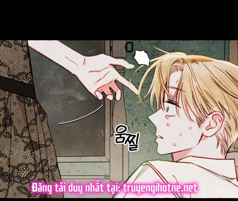 nuôi dưỡng một bé rồng đen chapter 51.5 - Next Chap 52.2