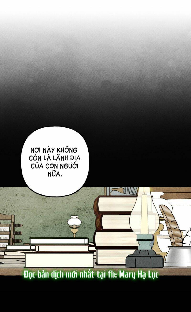 nuôi dưỡng một bé rồng đen chapter 51.5 - Next Chap 52.2