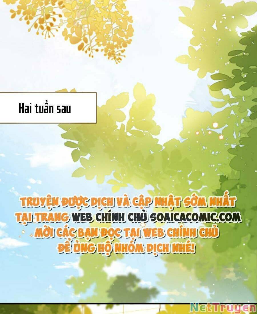 nuôi vợ từ bé chapter 10 - Trang 2