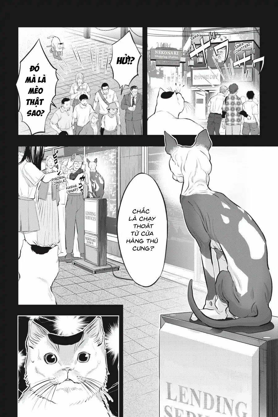 Nyankees Chapter 11 - Trang 2