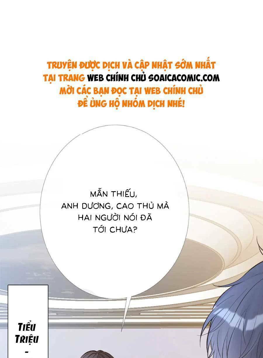 ôm khẩn tiểu mã giáp của tôi chapter 204 - Next chapter 205