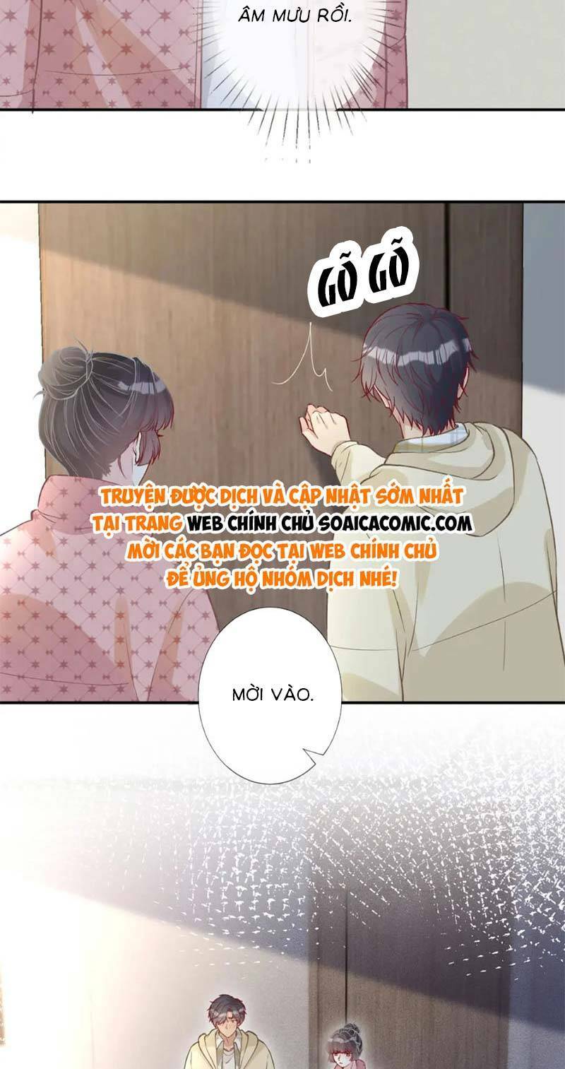 ôm khẩn tiểu mã giáp của tôi chapter 259 - Next chapter 260