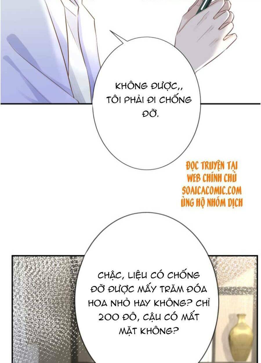 ôm khẩn tiểu mã giáp của tôi chapter 71 - Next chapter 72