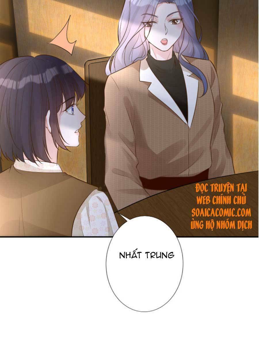 ôm khẩn tiểu mã giáp của tôi chapter 71 - Next chapter 72