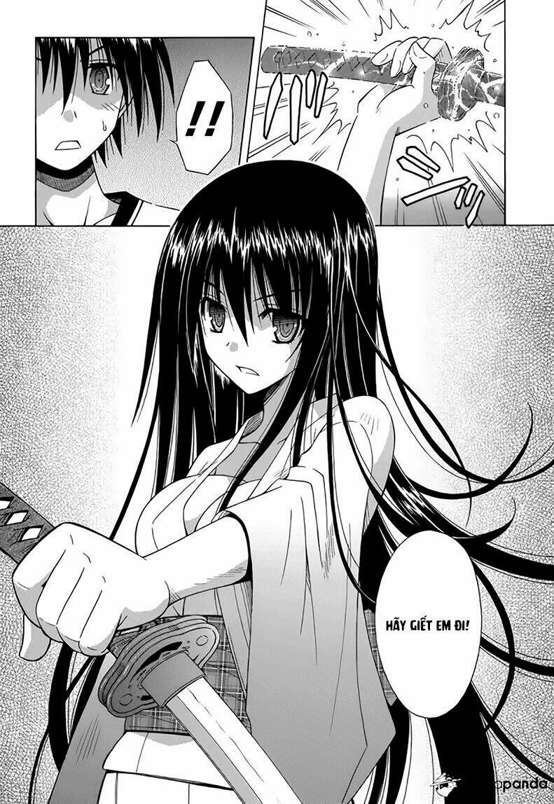 Omamori Himari Chapter 74 - Next Chapter 75