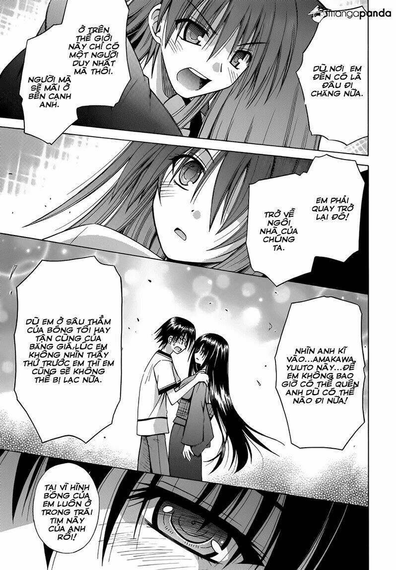 Omamori Himari Chapter 74 - Next Chapter 75