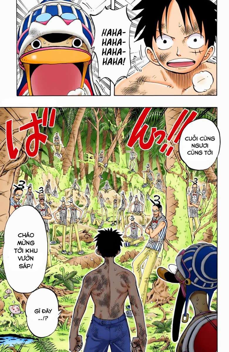 One Piece Color Chapter 126 - Next Chapter 127