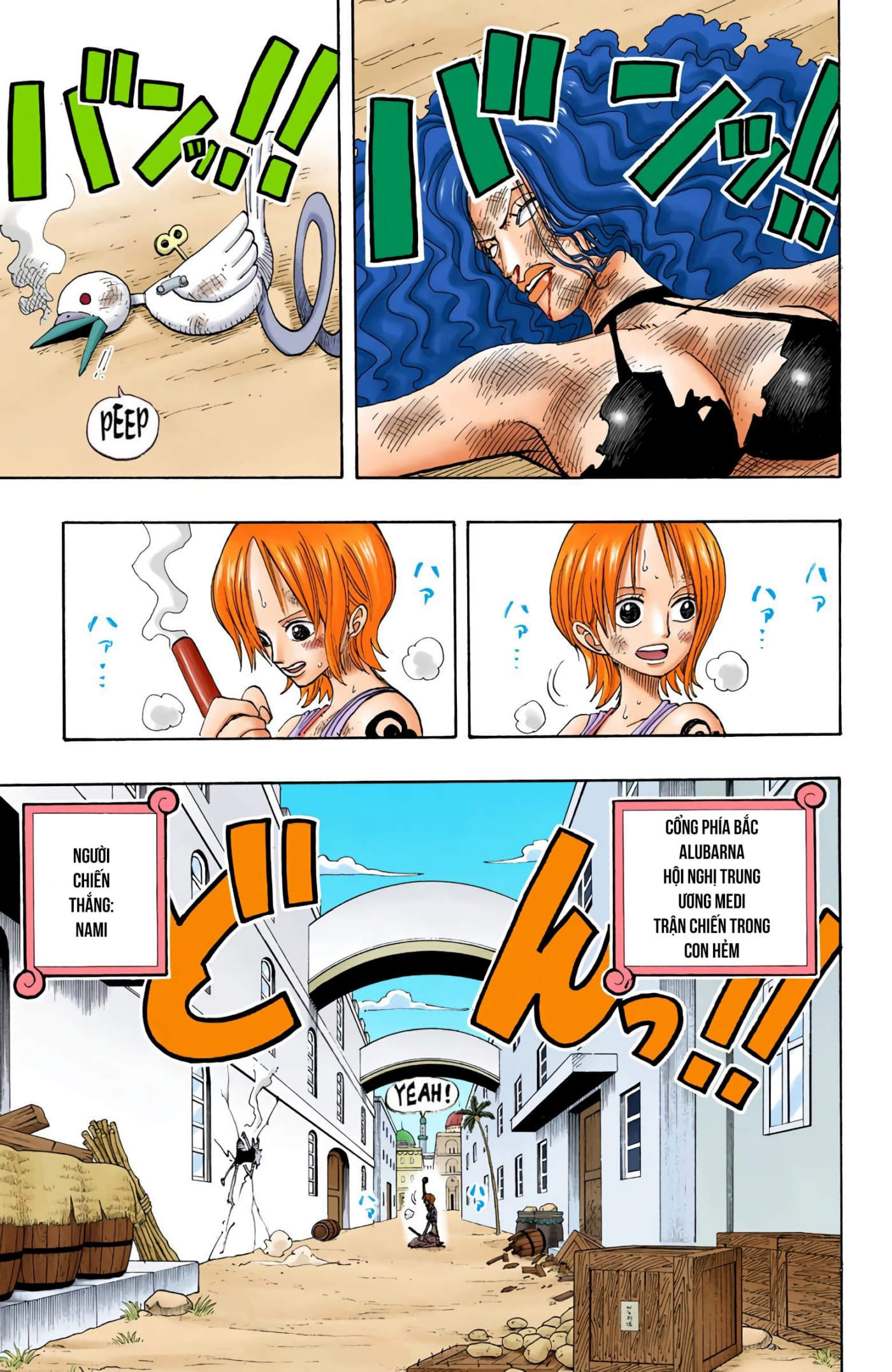 One Piece Color Chapter 193 - Next Chapter 194