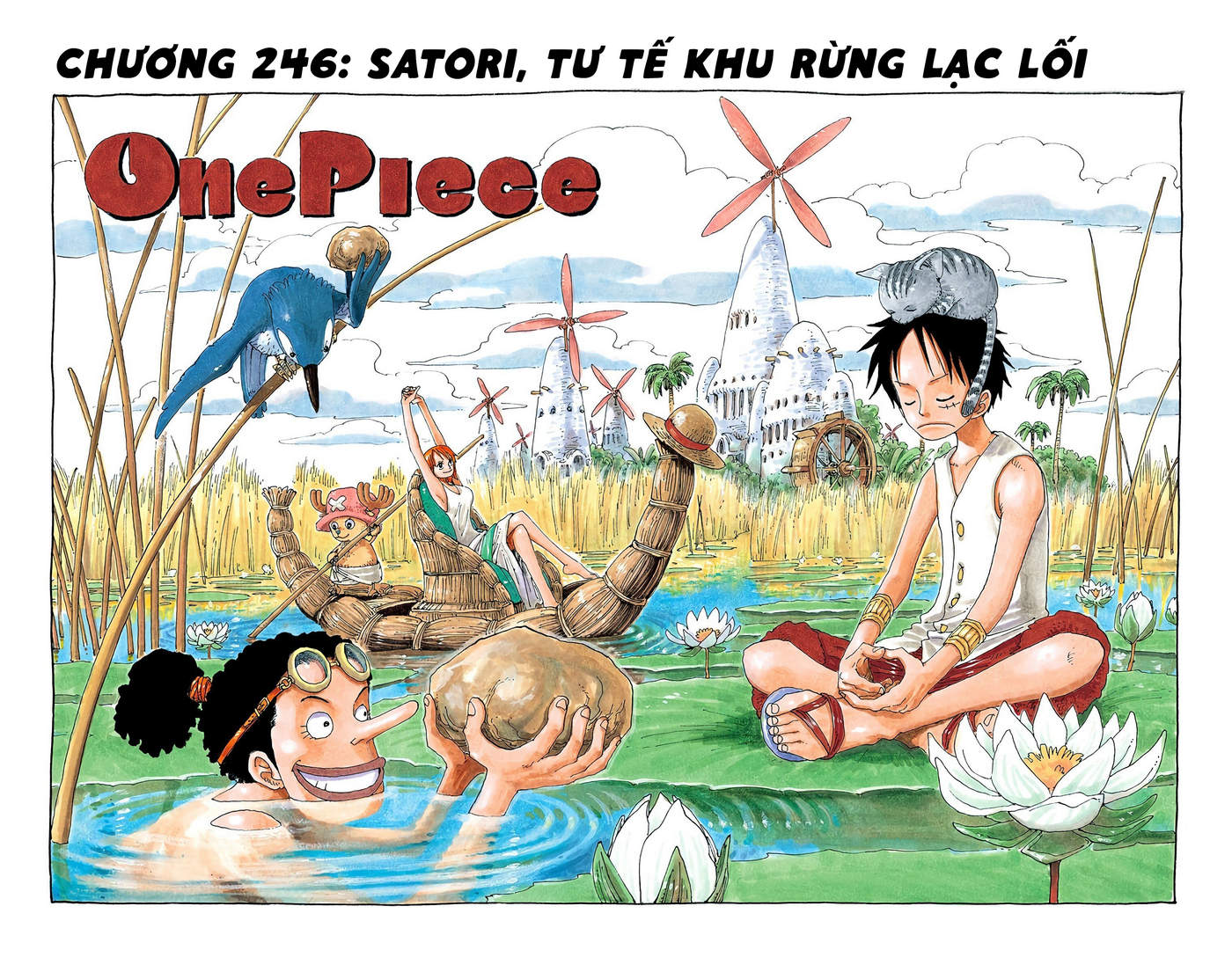 One Piece Color Chapter 246 - Next Chapter 247