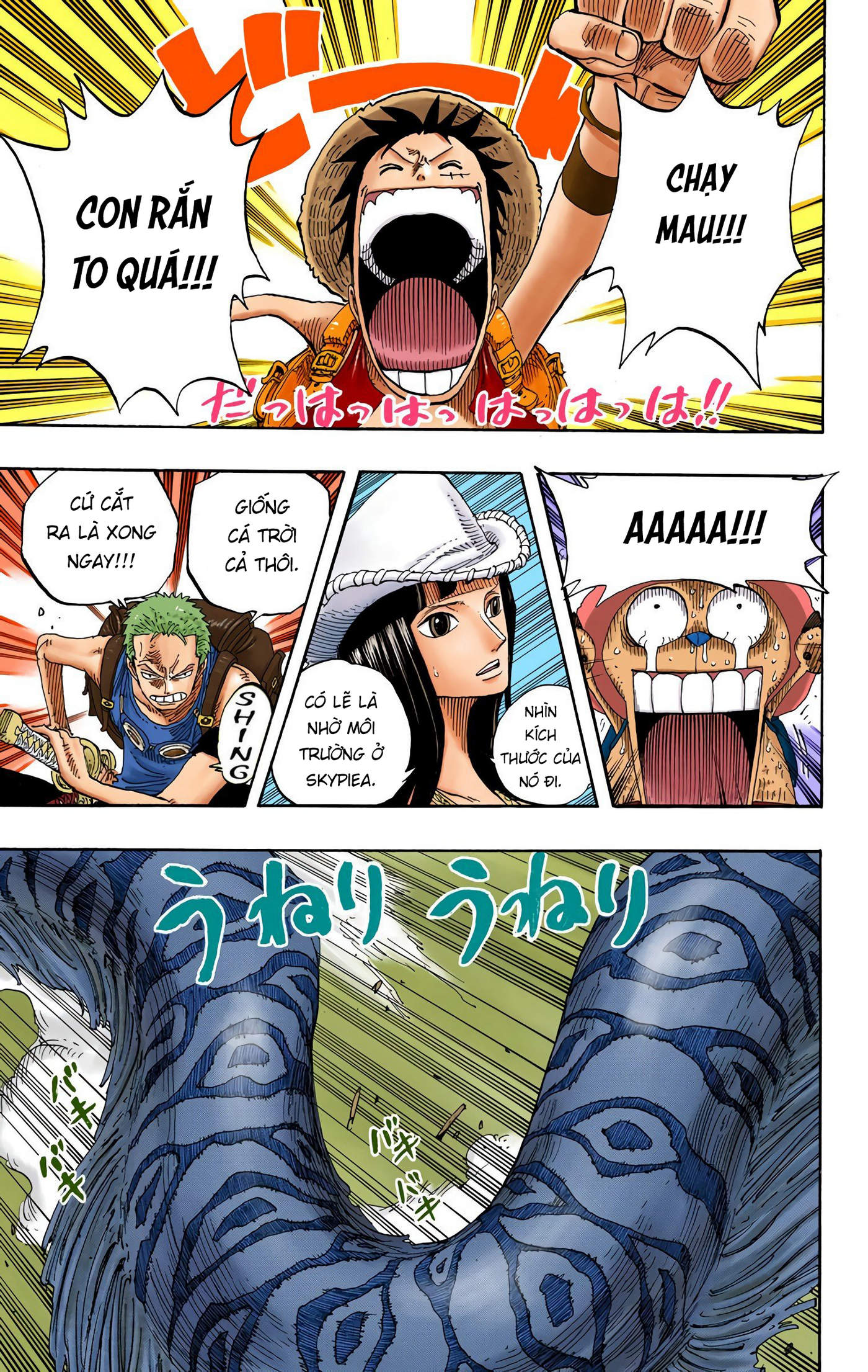 One Piece Color Chapter 255 - Next Chapter 256