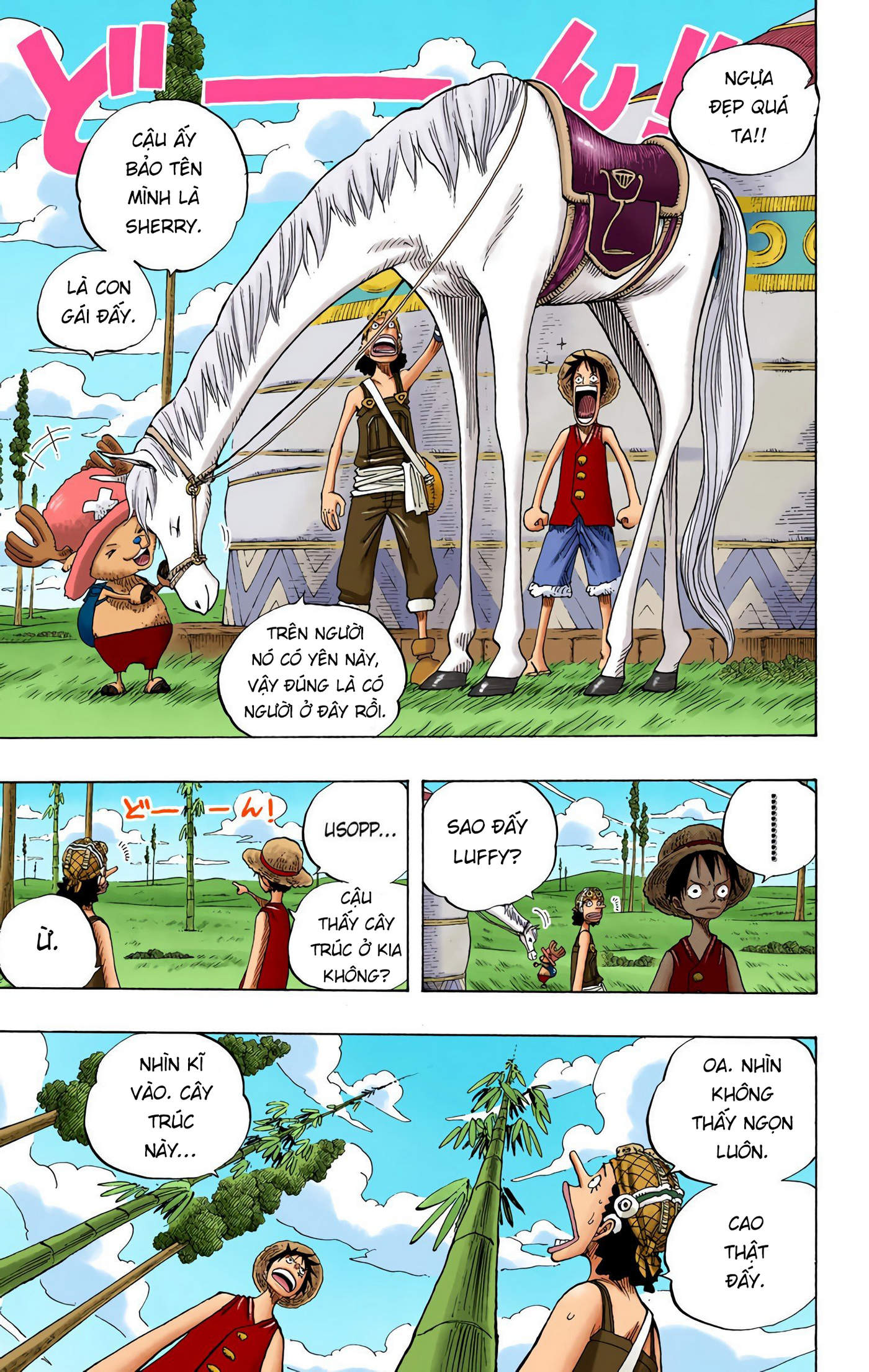 One Piece Color Chapter 304 - Next Chapter 305