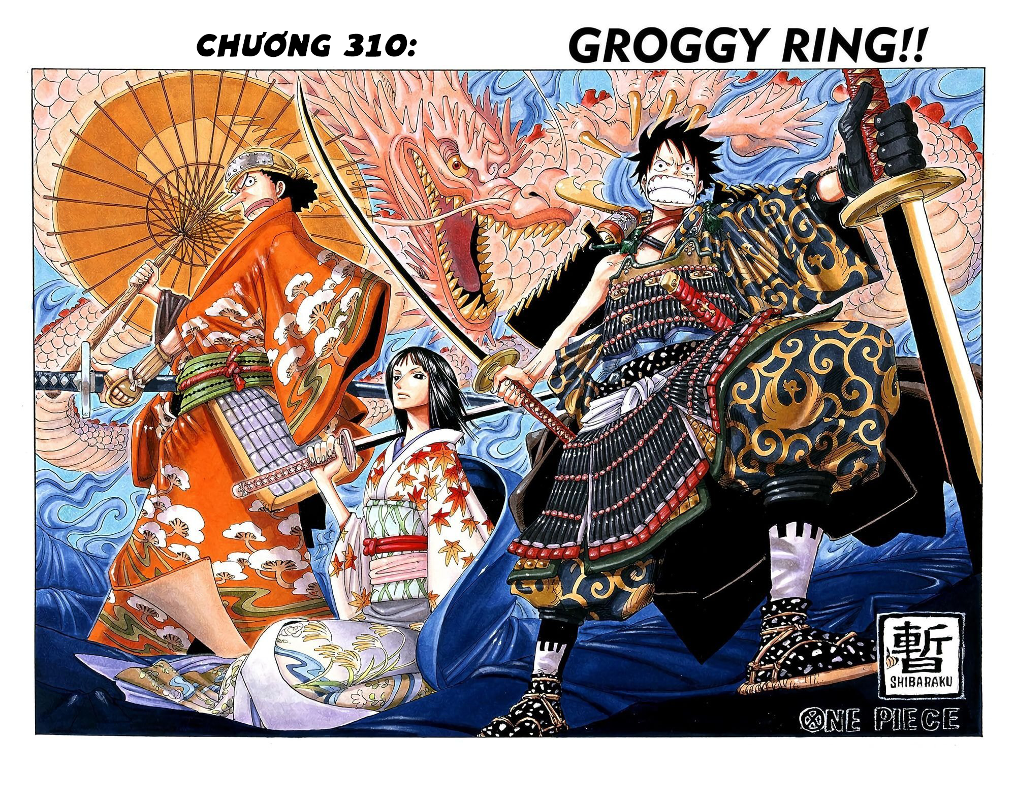 One Piece Color Chapter 310 - Next Chapter 311