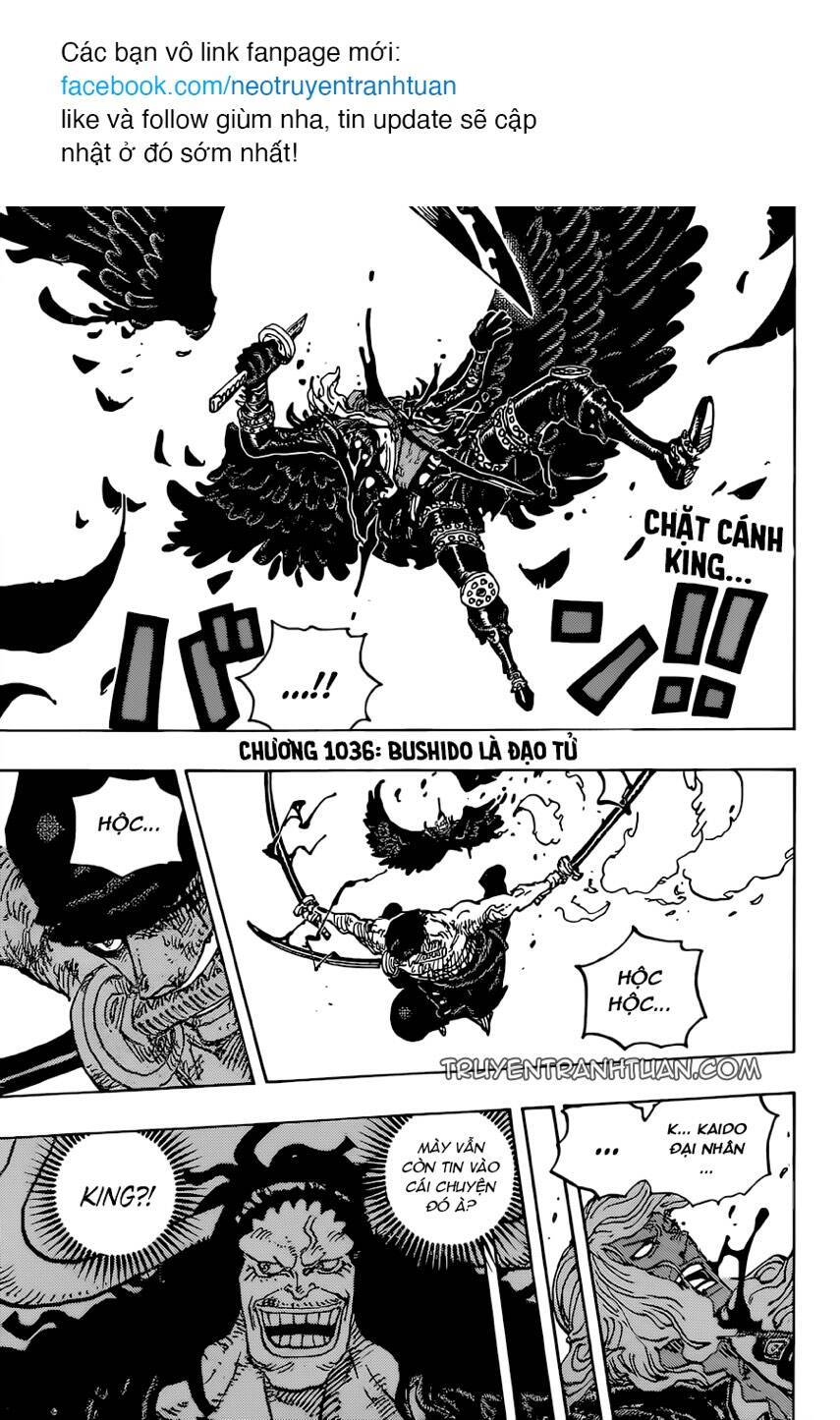 One Piece Chapter 1036 - Trang 2