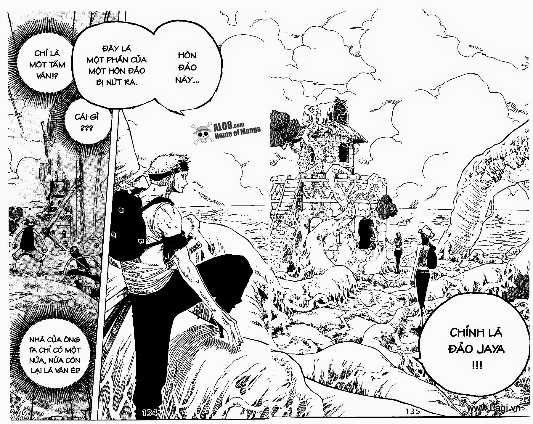 One Piece Chapter 251 - Trang 2