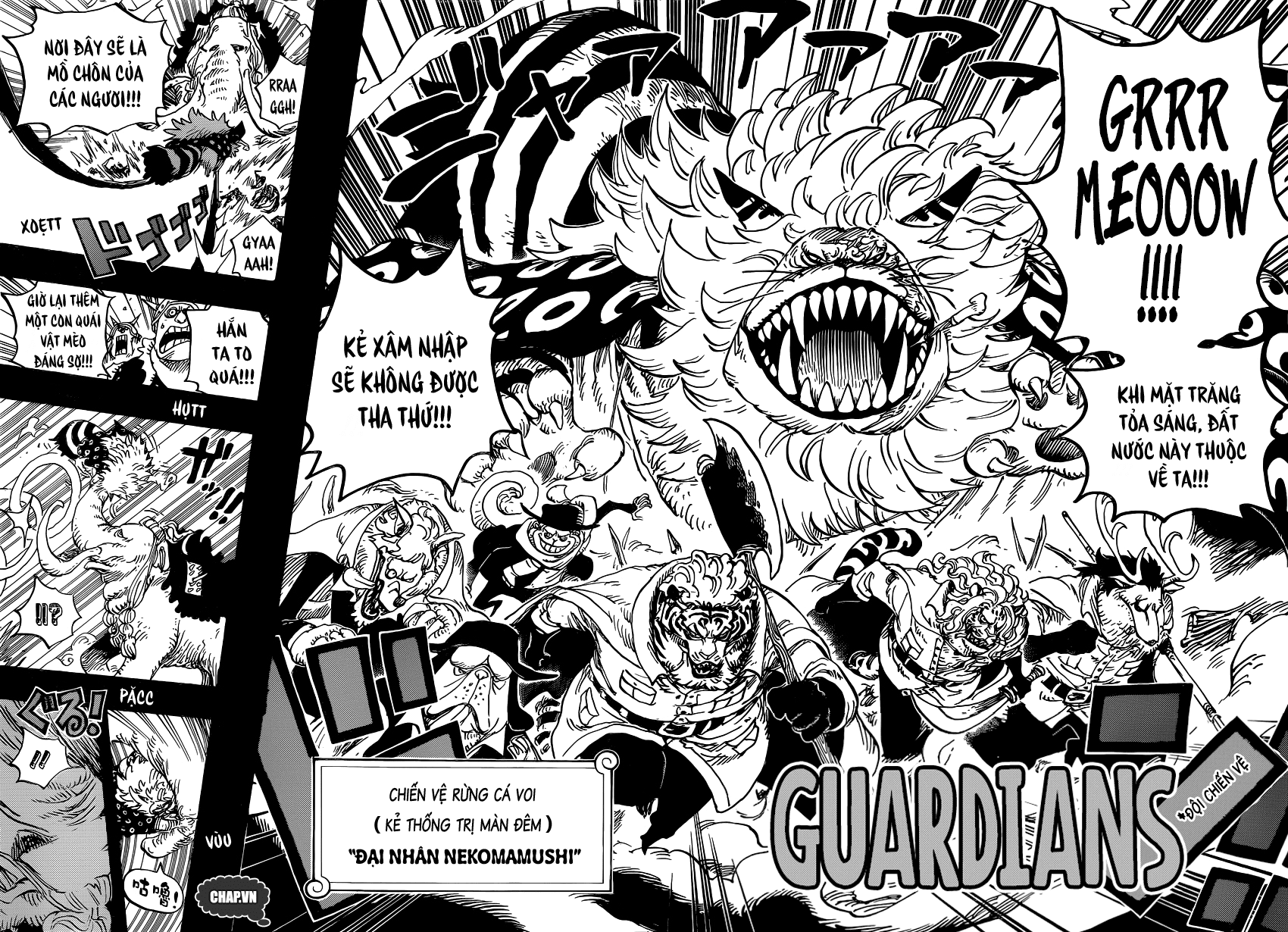 One Piece Chapter 809 - Trang 2