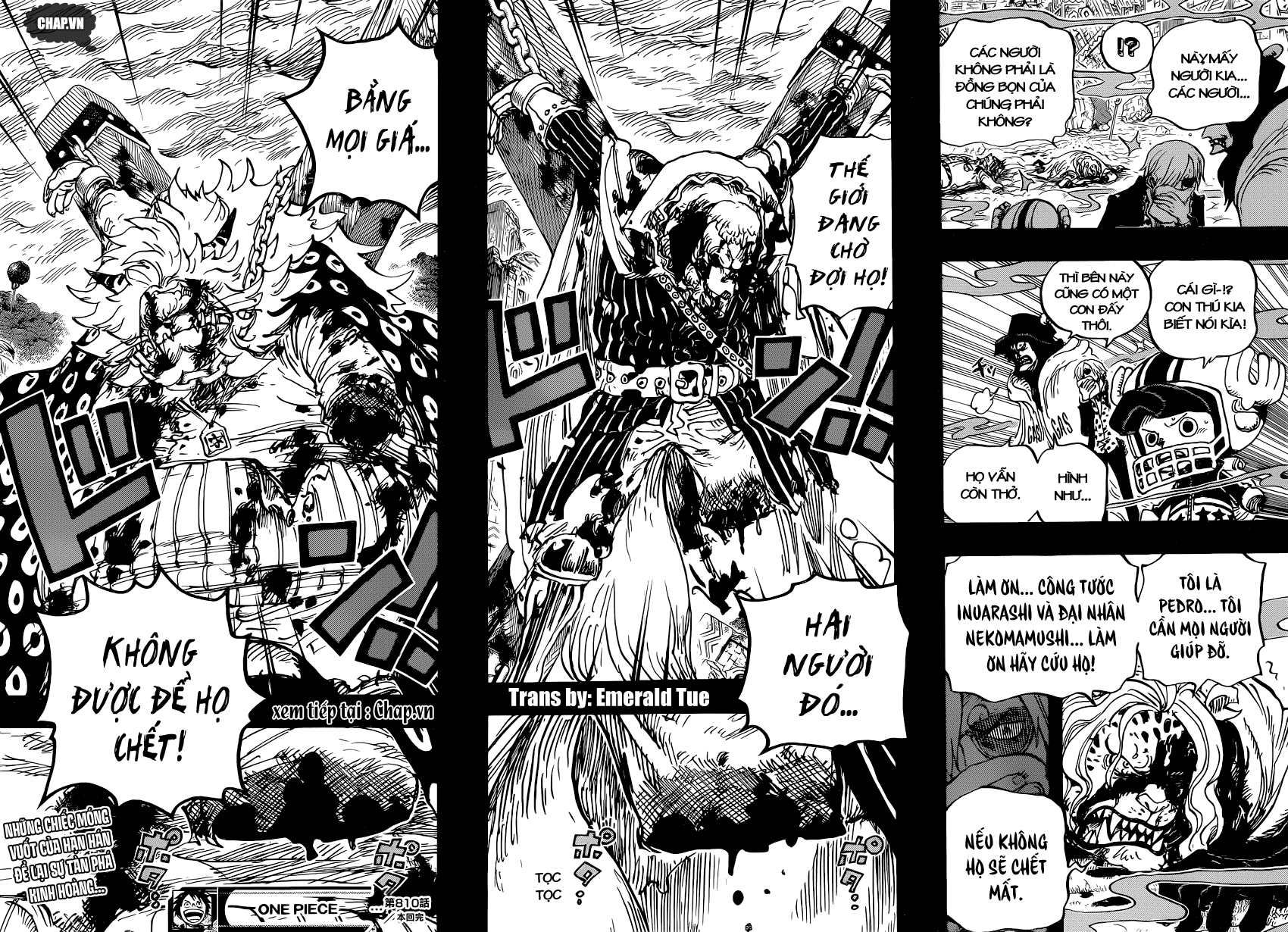 One Piece Chapter 810 - Trang 2