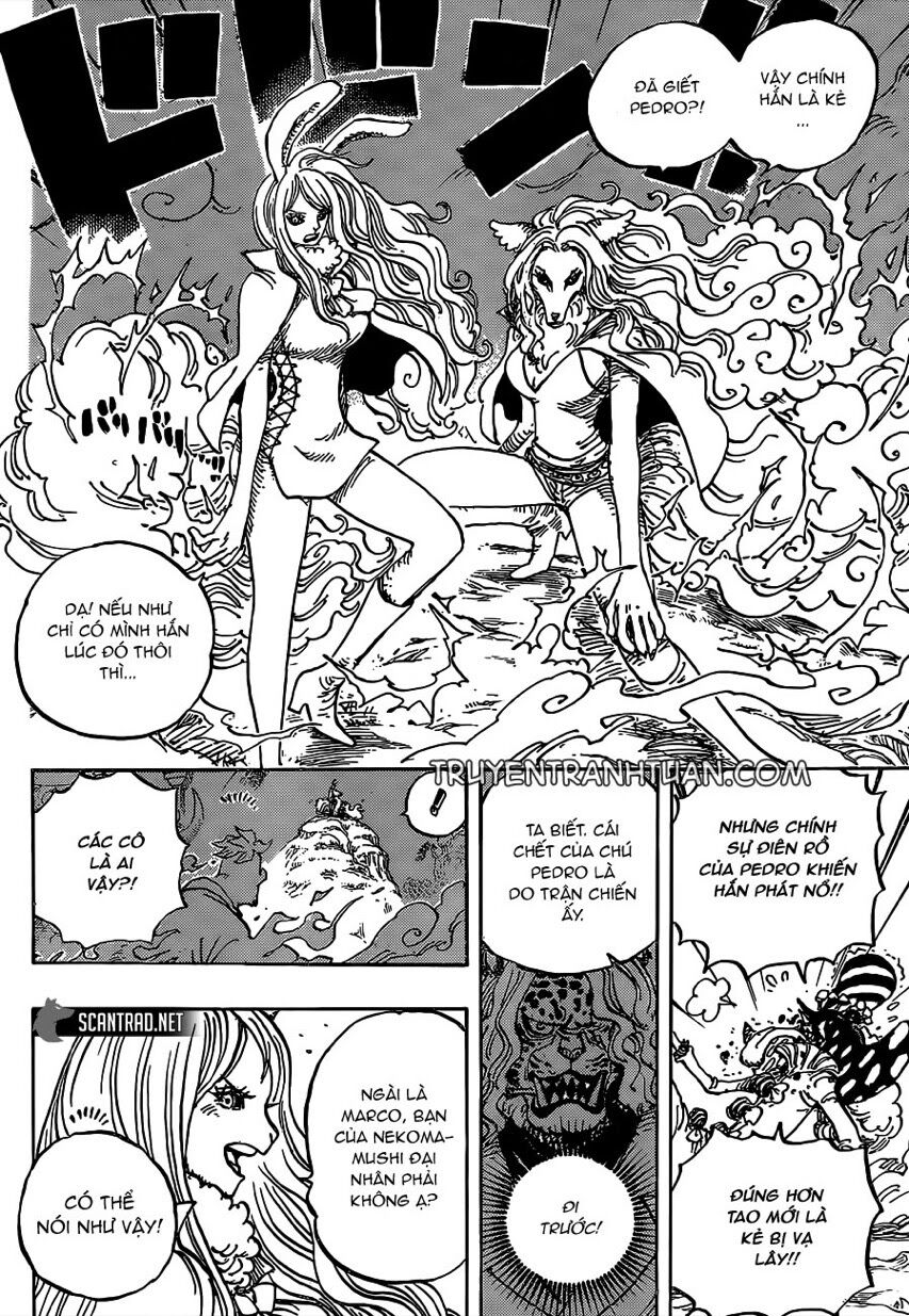 One Piece Chapter 995 - Trang 2