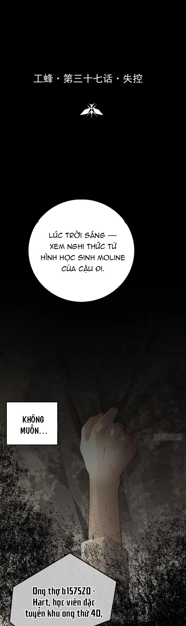 Ong Thợ Chapter 37 - Next Chapter 37