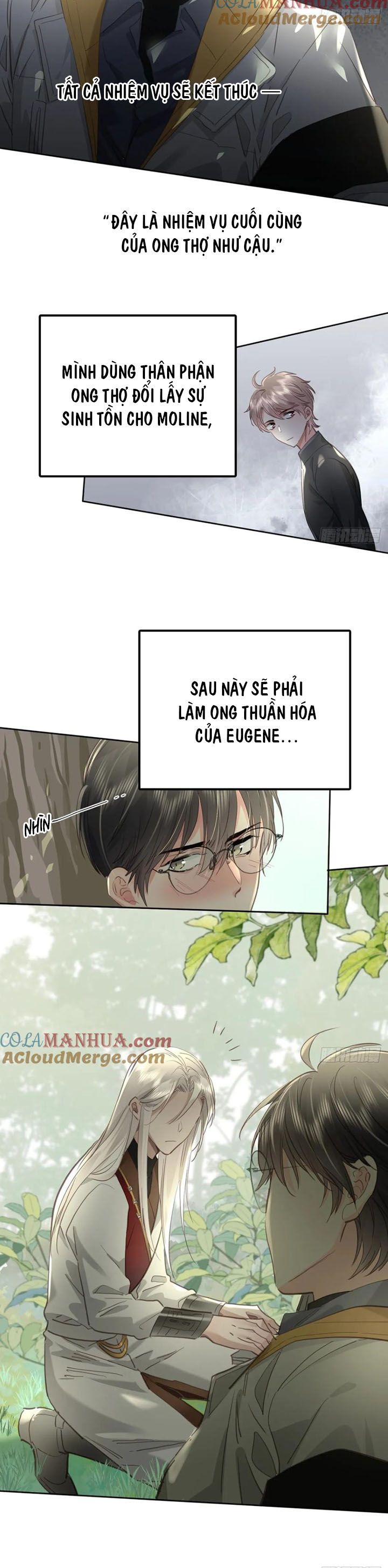 Ong Thợ Chapter 41 - Next Chapter 41